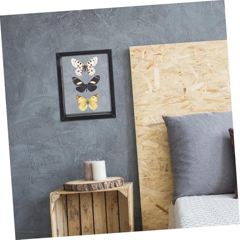 Cabilock DIY Double Sided Glass Display Frame Black Dried Flower Photo Holder Home Office Decor - Image 3